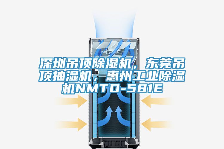 深圳吊頂除濕機，東莞吊頂抽濕機，惠州工業(yè)除濕機NMTD-581E