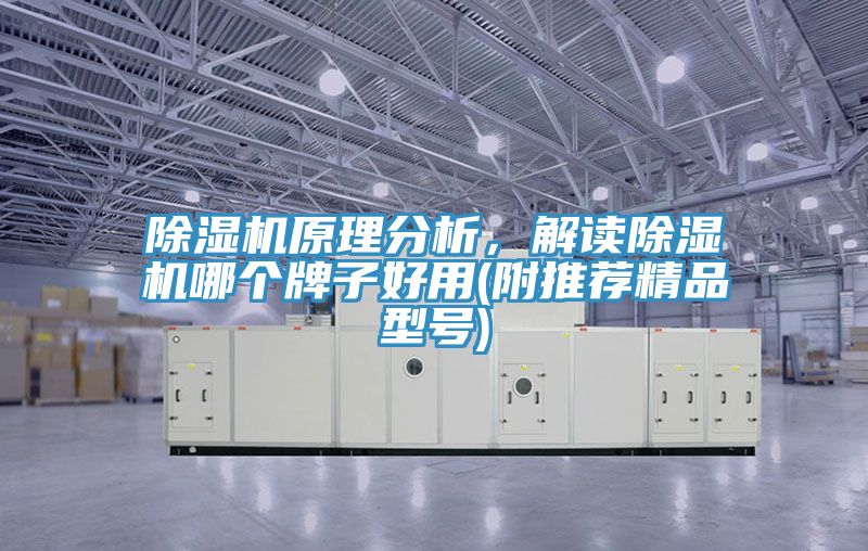 除濕機原理分析，解讀除濕機哪個牌子好用(附推薦精品型號)