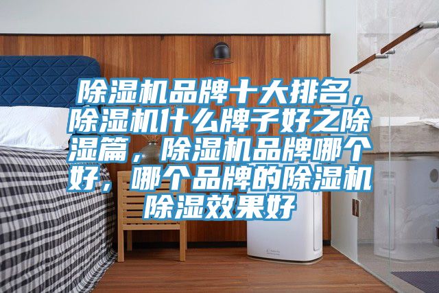 除濕機品牌十大排名，除濕機什么牌子好之除濕篇，除濕機品牌哪個好，哪個品牌的除濕機除濕效果好