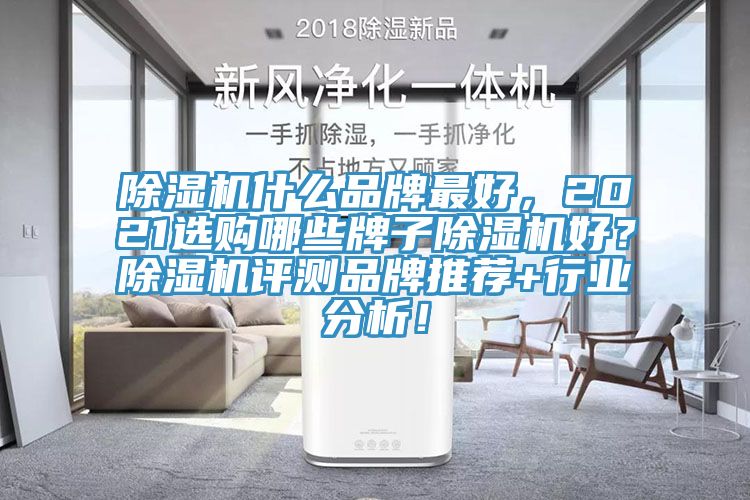 除濕機什么品牌最好，2021選購哪些牌子除濕機好？除濕機評測品牌推薦+行業分析！