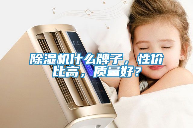 除濕機什么牌子，性價比高，質(zhì)量好？