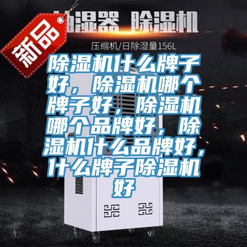 除濕機(jī)什么牌子好，除濕機(jī)哪個牌子好，除濕機(jī)哪個品牌好，除濕機(jī)什么品牌好，什么牌子除濕機(jī)好