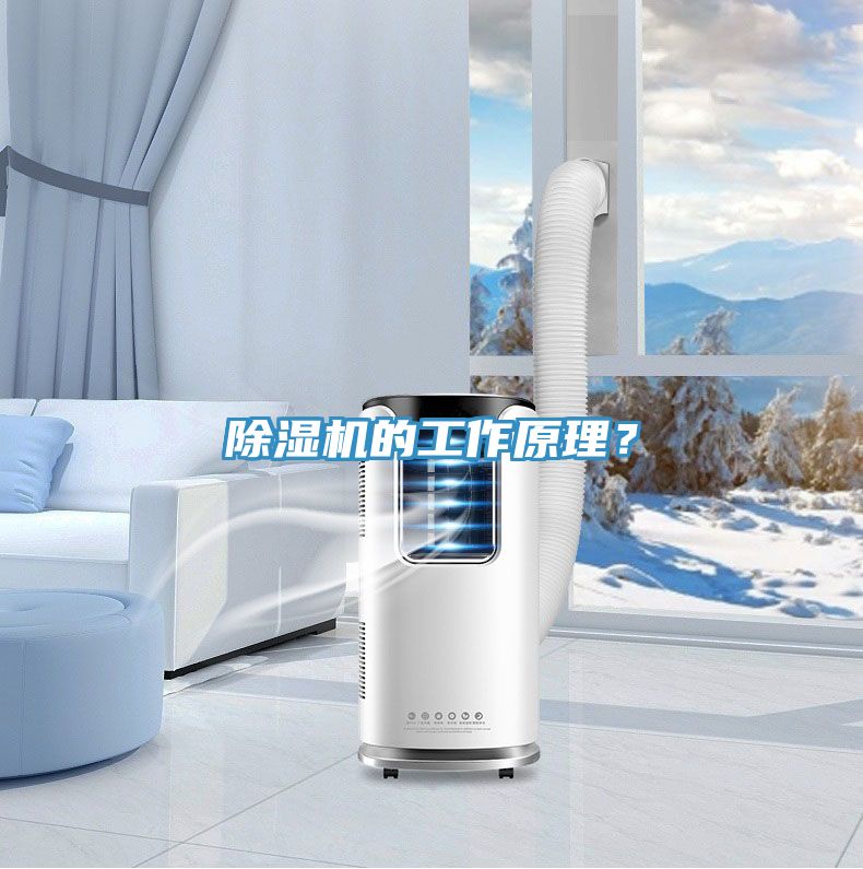 除濕機的工作原理？